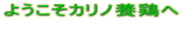 �悤�����J���m�{�{